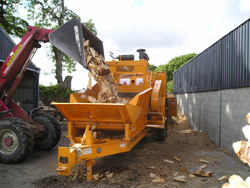 Bandit1680_1